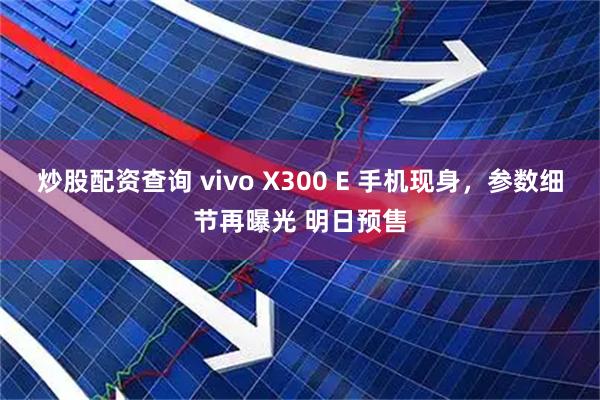 炒股配资查询 vivo X300 E 手机现身，参数细节再曝光 明日预售
