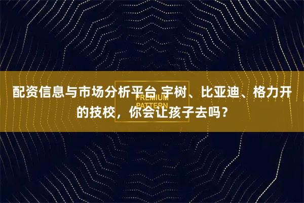配资信息与市场分析平台 宇树、比亚迪、格力开的技校，你会让孩子去吗？