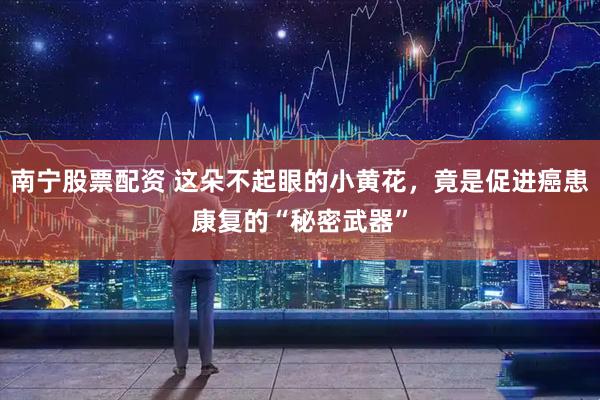南宁股票配资 这朵不起眼的小黄花，竟是促进癌患康复的“秘密武器”